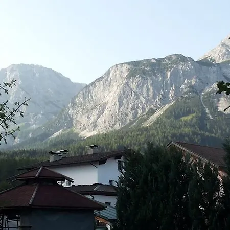Villa-orka *